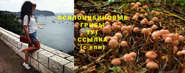 2c-b Алексин
